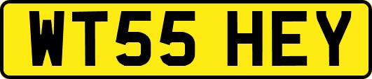 WT55HEY