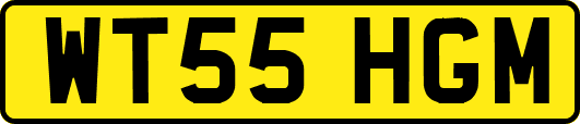 WT55HGM