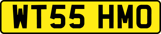WT55HMO