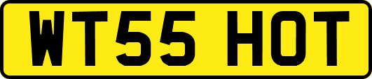 WT55HOT
