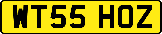WT55HOZ