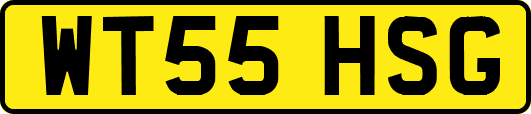 WT55HSG