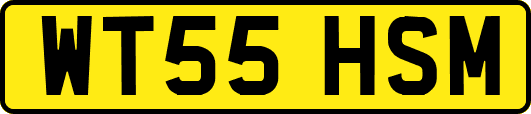 WT55HSM