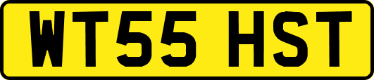 WT55HST