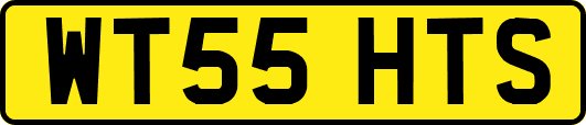 WT55HTS