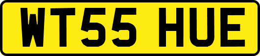 WT55HUE