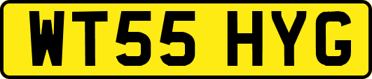 WT55HYG