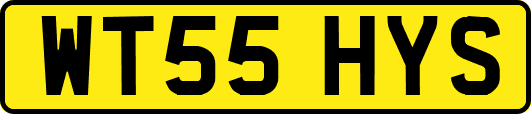 WT55HYS