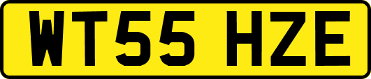 WT55HZE