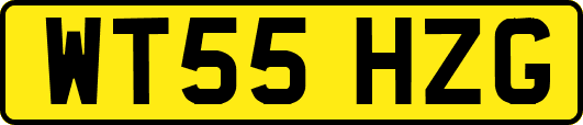 WT55HZG