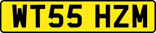 WT55HZM