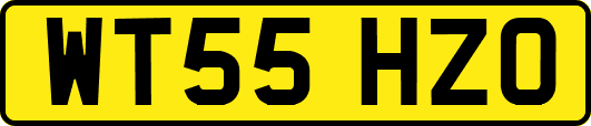 WT55HZO