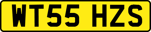 WT55HZS
