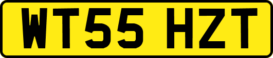 WT55HZT