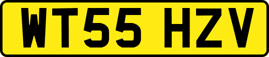 WT55HZV