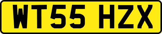 WT55HZX