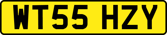 WT55HZY
