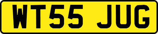 WT55JUG