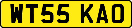 WT55KAO