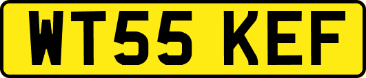 WT55KEF