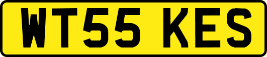 WT55KES