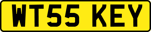 WT55KEY