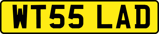 WT55LAD