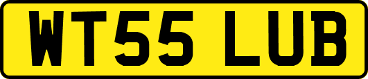 WT55LUB