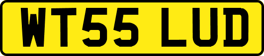 WT55LUD