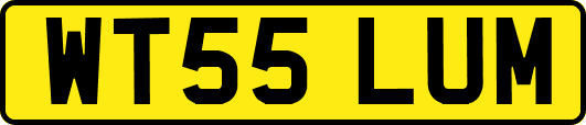 WT55LUM