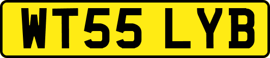 WT55LYB