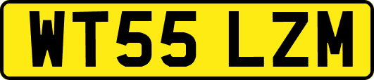 WT55LZM