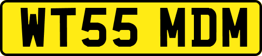 WT55MDM