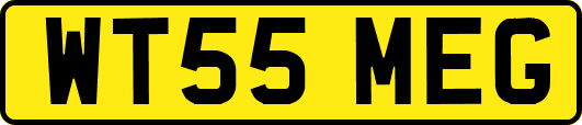 WT55MEG