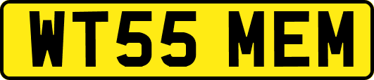 WT55MEM