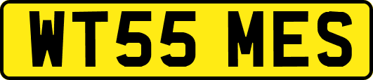 WT55MES