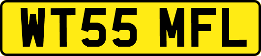 WT55MFL