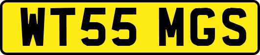 WT55MGS