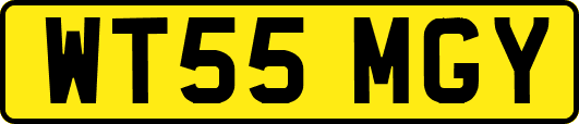 WT55MGY