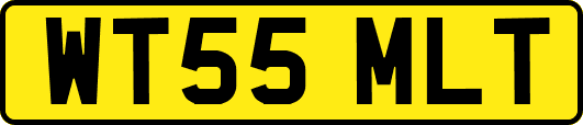 WT55MLT