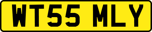 WT55MLY