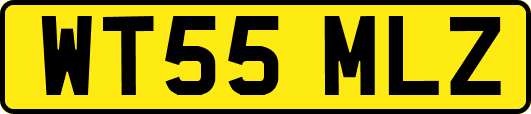 WT55MLZ