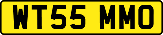 WT55MMO