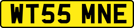 WT55MNE