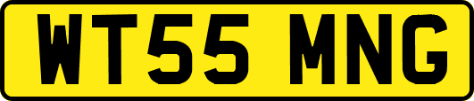 WT55MNG