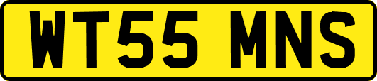 WT55MNS