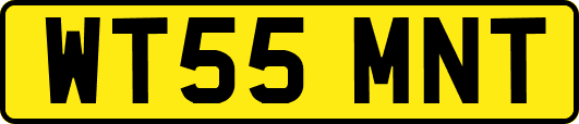WT55MNT