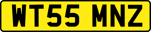 WT55MNZ