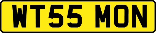 WT55MON