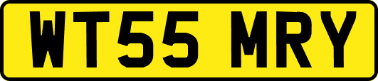 WT55MRY